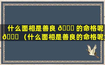 什么面相是善良 🍀 的命格呢 💐 （什么面相是善良的命格呢女生）